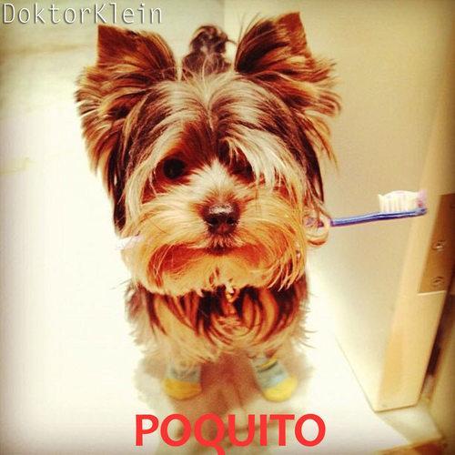 Poquito (Full Version)