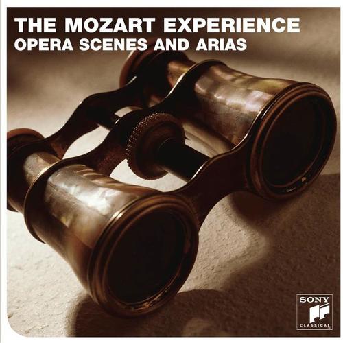 The Mozart Experience