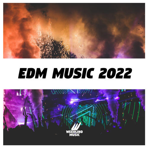 EDM Music 2022