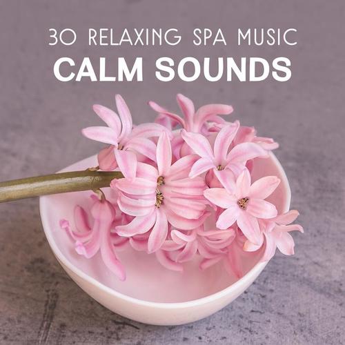 30 Relaxing Spa Music – Calm Sounds for Body & Mind Rest, Massage Sessions, Wellness, Pure Dreaming, Total Regeneration