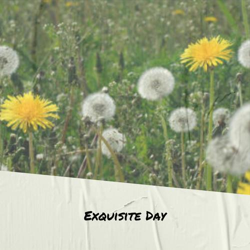 Exquisite Day