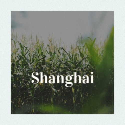 Shanghai