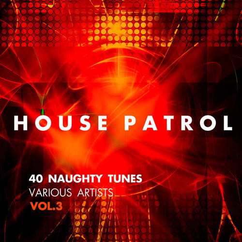 House Patrol (40 Naughty Tunes) , Vol. 3