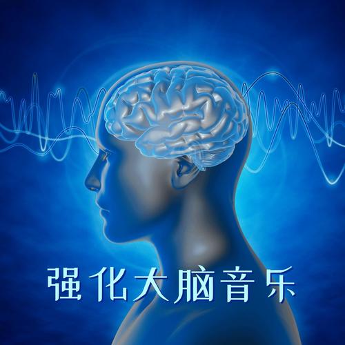 强化大脑音乐 - 海马潜意识激活，记忆力觉醒，最高级大脑休息音乐