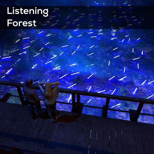 Listening Forest