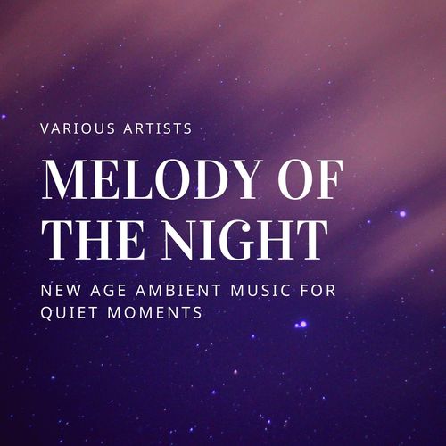 Melody of the Night: New Age Ambient Music for Quiet Moments