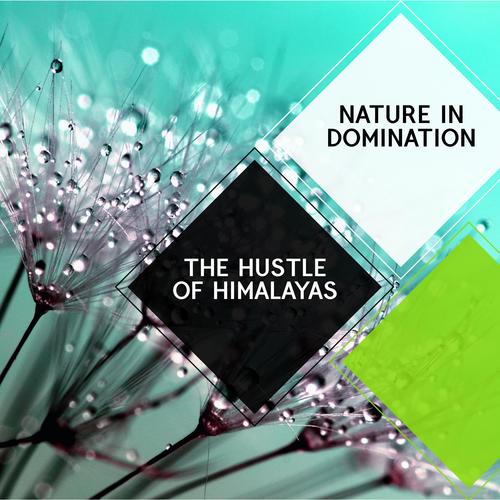 The Hustle of Himalayas - Nature in Domination