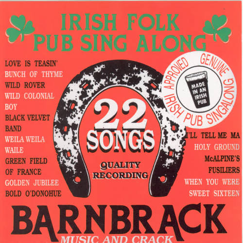 22 Irish Folk Pub Songs