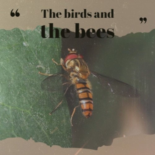 The birds and the bees