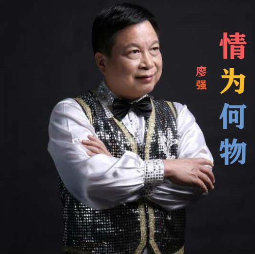 情为何物