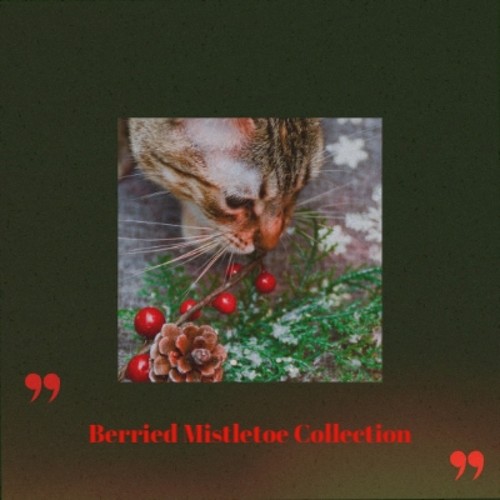 Berried Mistletoe Collection