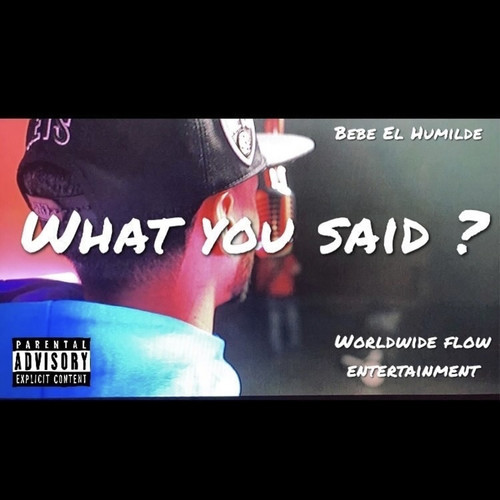 What You Said? (Explicit)