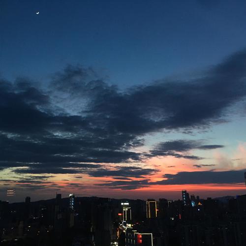 凌晨4:00，我看见海棠花未眠