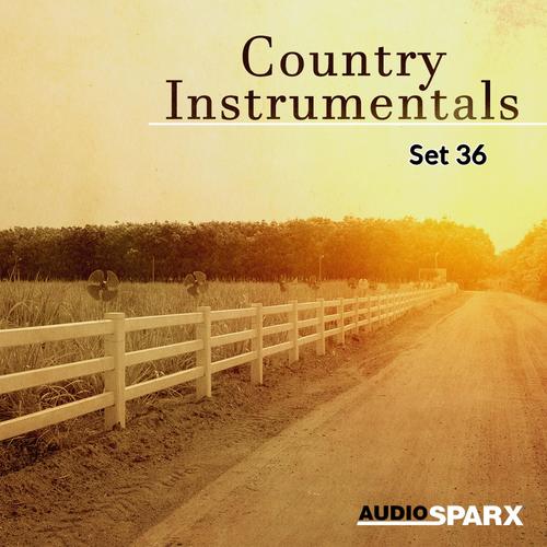 Country Instrumentals, Set 36