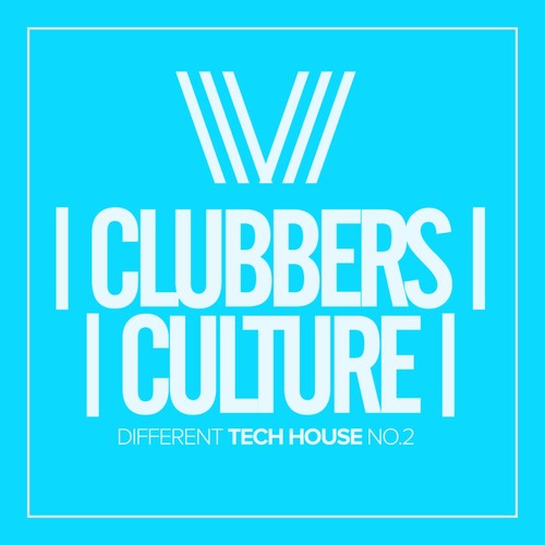 Clubbers Culture: Different Tech House No.2