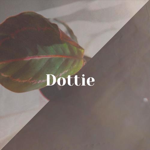 Dottie