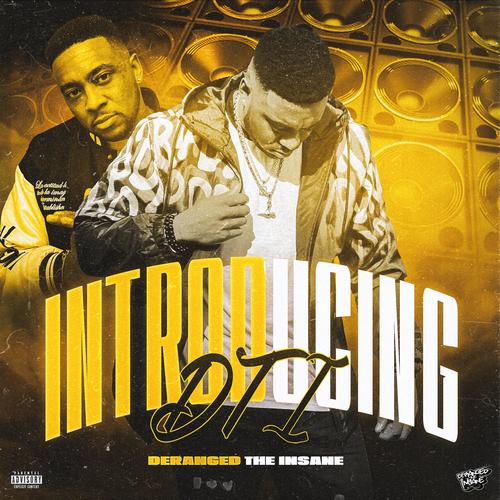 Introducing DTI (Explicit)