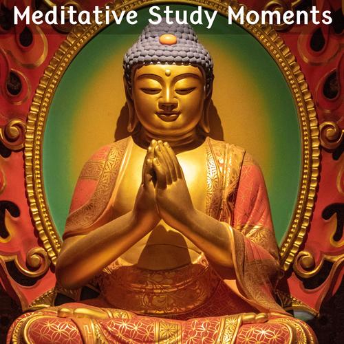 Meditative Study Moments