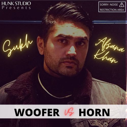 Woofer vs Horn