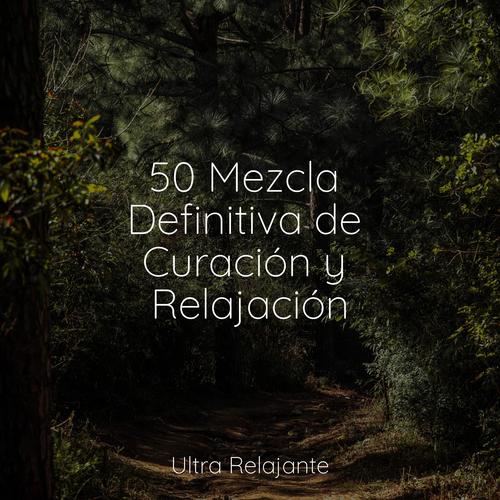 50 Mezcla Definitiva de Curación y Relajación