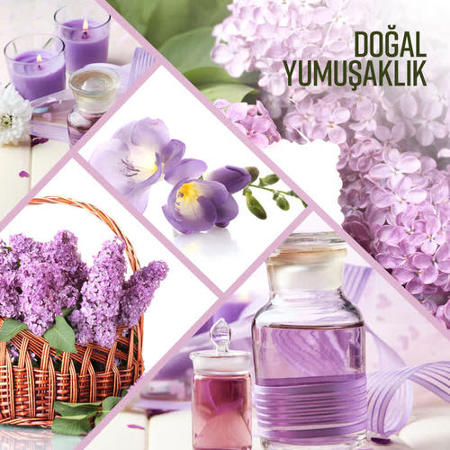 Doğal Yumuşaklık: Dalgalar, Orman, Yağmur Sesleri