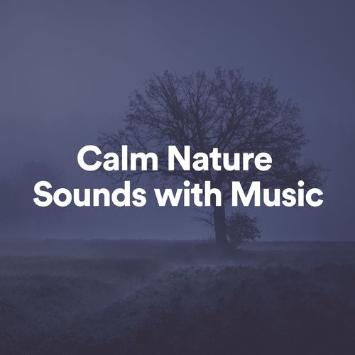 Calm Nature Sounds with Music