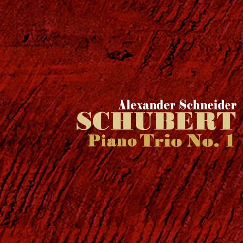 Schubert: Piano Trio No 1