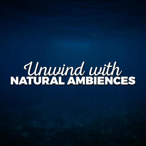 Unwind with Natural Ambiences