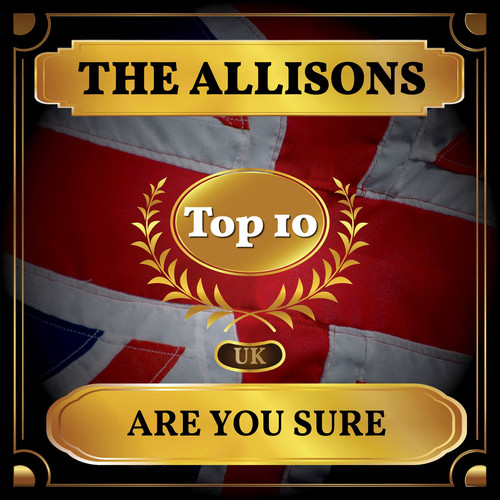 Are You Sure (UK Chart Top 40 - No. 2)