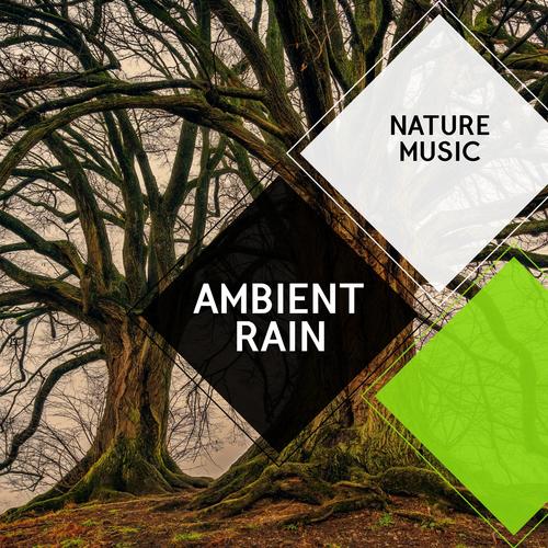 Ambient Rain - Nature Music