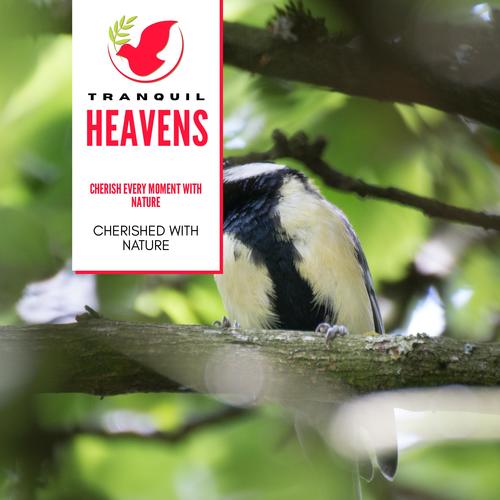 Cherish Every Moment With Nature- Cherished With Nature