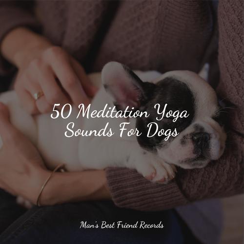 50 Meditation Yoga Sounds For Dogs