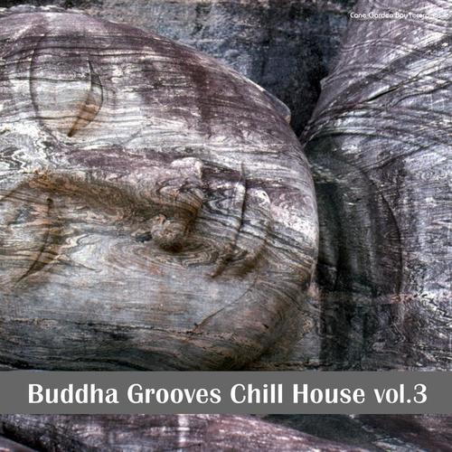 Buddha Grooves Chill House, Vol 3