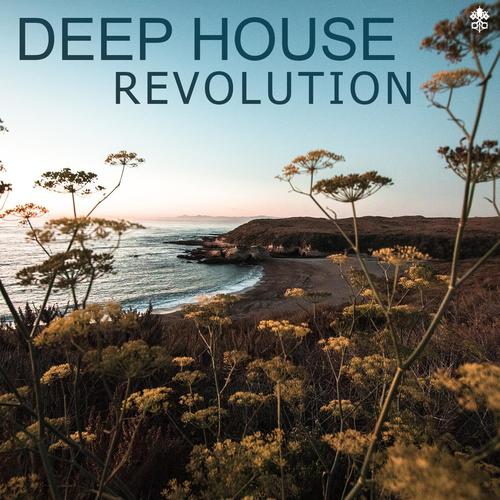 Deep House Revolution