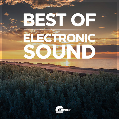 The Best Electronic Sound, Vol. 1