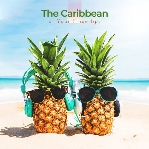 The Caribbean at Your Fingertips