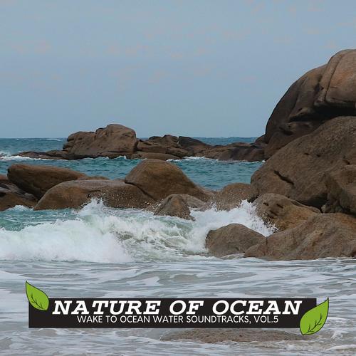 Nature of Ocean - Wake to Ocean Water Soundtracks, Vol.5