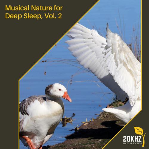 Musical Nature for Deep Sleep, Vol. 2