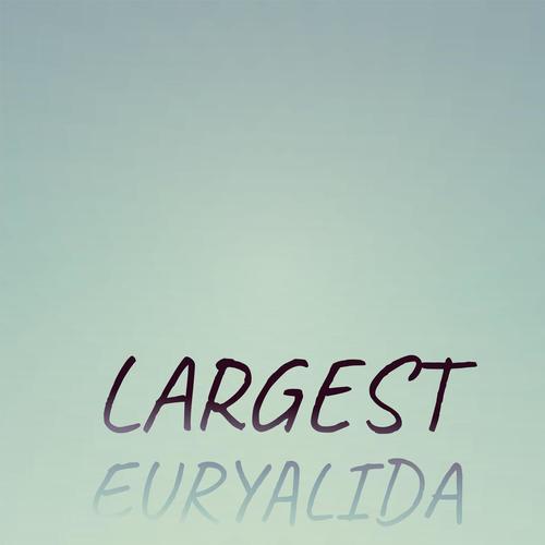 Largest Euryalida