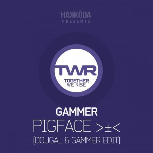 Pigface (Dougal & Gammer Edit)