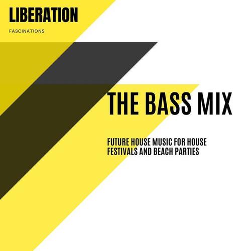 The Bass Mix: Future House Music for House Festivals and Beach Parties