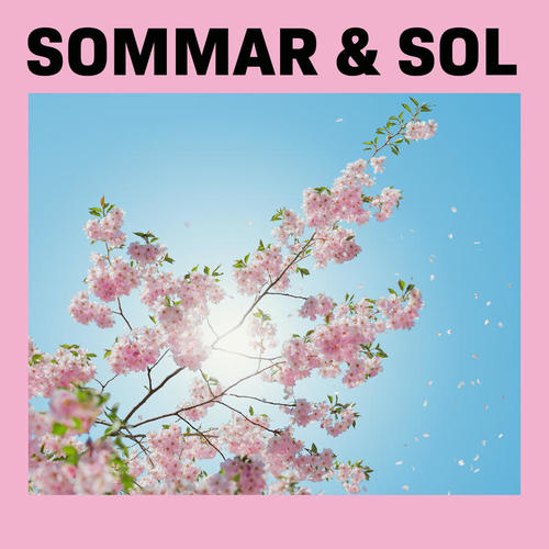 Sommar & Sol (Explicit)