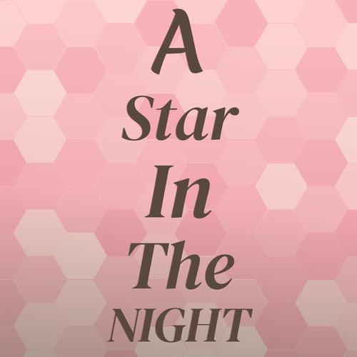 A Star In The Night