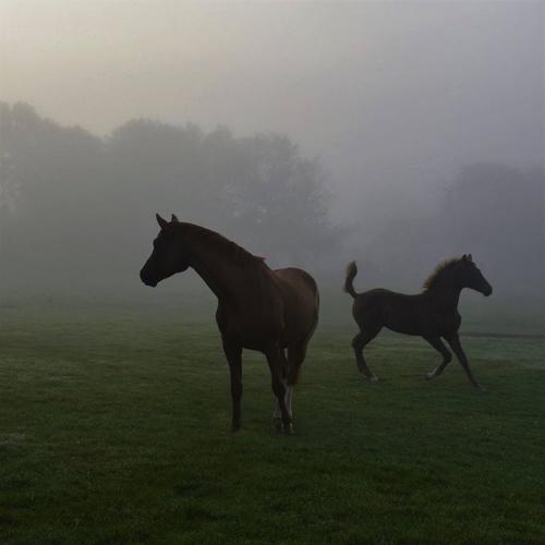 watevr (Explicit)