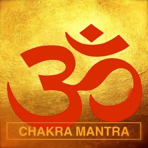 OM Chakra Mantra Divine Essence