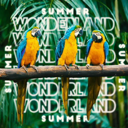 Summer Wonderland – Ibiza Hottest Chill for Summer Holidays 2020