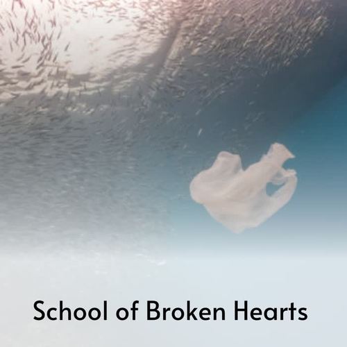 School of Broken Hearts