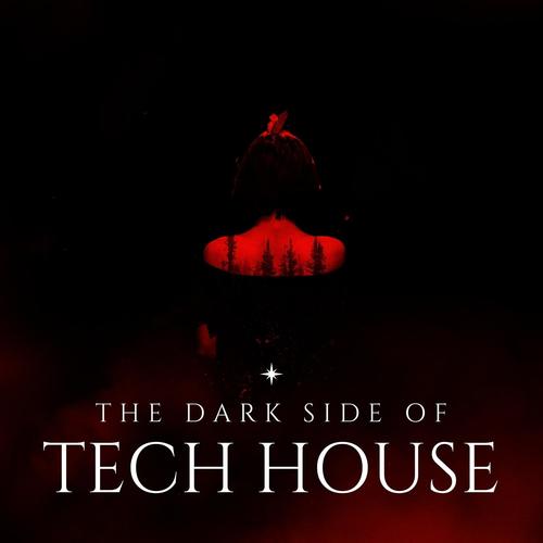 The Dark Side Of Tech House