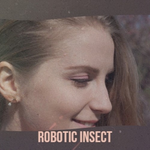 Robotic Insect