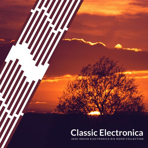 Classic Electronica - 2020 Indian Electronica Big Room Collection